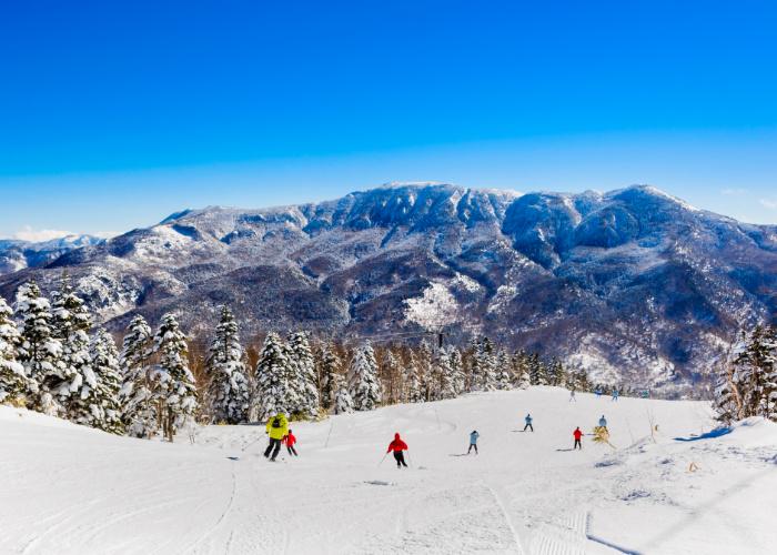 Shiga Kogen Ski Resort in Nagano prefecture